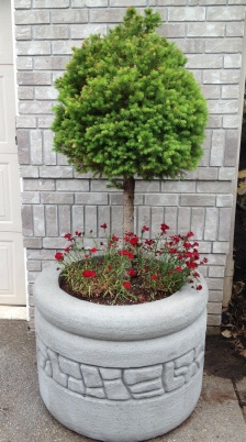 30 Dia x 34 H Stastny Stone Pot Unique Large Custom Hand-Carved Concrete Rockwall Planter 