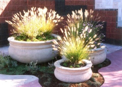 Stastny Stone Pots Unique Large Hand-Carved Concrete Planter Super Duper Trio 